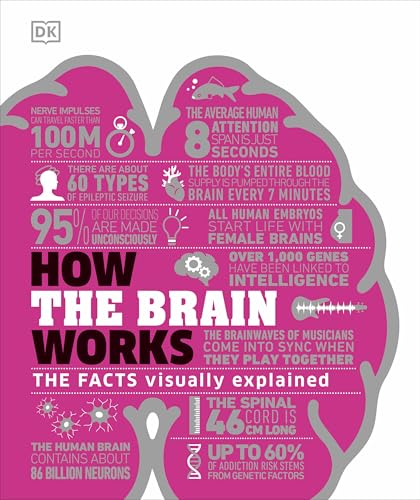 How the Brain Works: The Facts Visually Explained (How Things Work) von DK