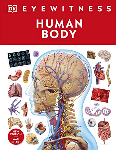 Human Body: DK Eyewitness von DK Children