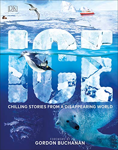Ice: Chilling Stories from a Disappearing World von DK Children