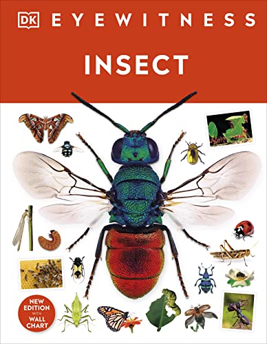 Insect: DK Eyewitness