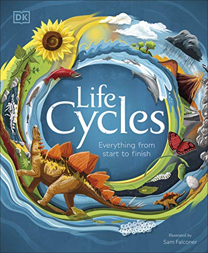 Life Cycles: Everything from Start to Finish (DK Life Cycles) von DK Children