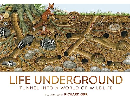 Life Underground: Tunnel into a World of Wildlife (DK Panorama)