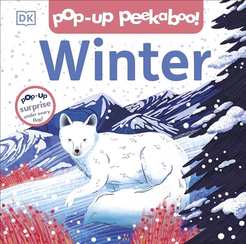 Pop-up Peekaboo! Winter: Pop-Up Surprise Under Every Flap! von DK Children