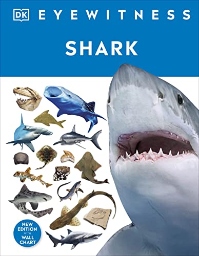 Shark: DK Eyewitness