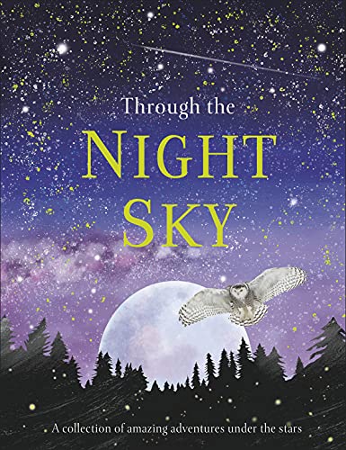 Through the Night Sky: A collection of amazing adventures under the stars (Journey Through)
