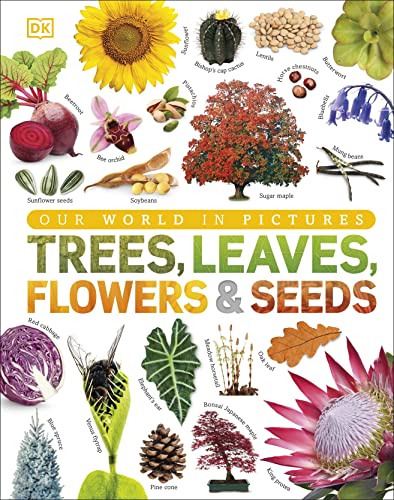 Our World in Pictures: Trees, Leaves, Flowers & Seeds: A visual encyclopedia of the plant kingdom von DK Children