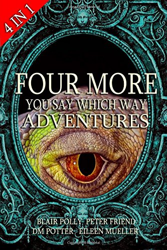 Four More You Say Which Way Adventures: Dinosaur Canyon, Deadline Delivery, Dragons Realm, Creepy House von CreateSpace Independent Publishing Platform