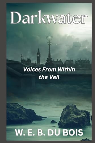 Darkwater: Voices From Within the Veil von Independently published