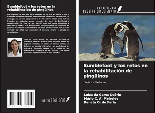 Bumblefoot y los retos en la rehabilitación de pingüinos: Un factor limitante von Ediciones Nuestro Conocimiento