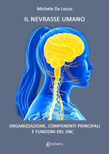 Il nevrasse umano. Organizzazione, componenti principali e funzioni del SNC von EBS Print