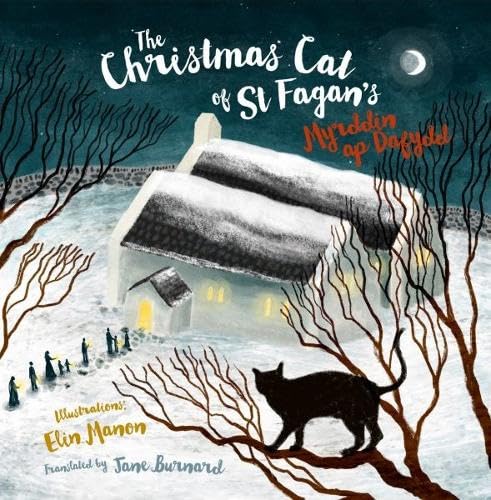 Christmas Cat at St Fagan's, The