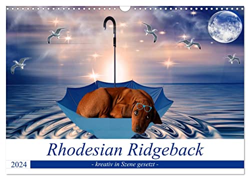 Rhodesian Ridgeback - kreativ in Szene gesetzt - (Wandkalender 2024 DIN A3 quer), CALVENDO Monatskalender von CALVENDO