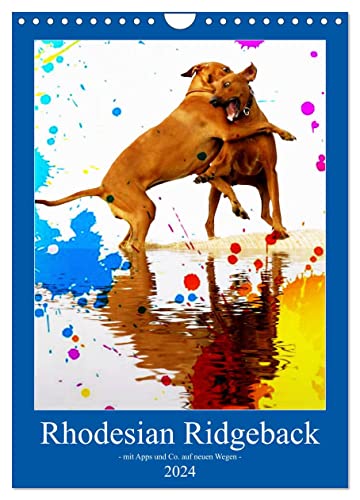 Rhodesian Ridgeback - mit Apps und Co.auf neuen Wegen - (Wandkalender 2024 DIN A4 hoch), CALVENDO Monatskalender von CALVENDO