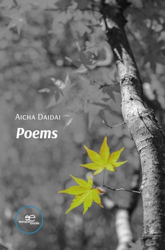 Poems (Draw Spaces) von Europa Edizioni srl