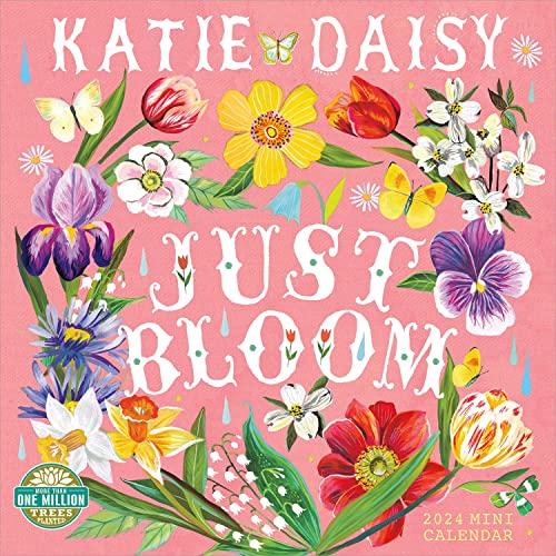 Katie Daisy 2024 Mini Calendar: Day Dreamer von Amber Lotus