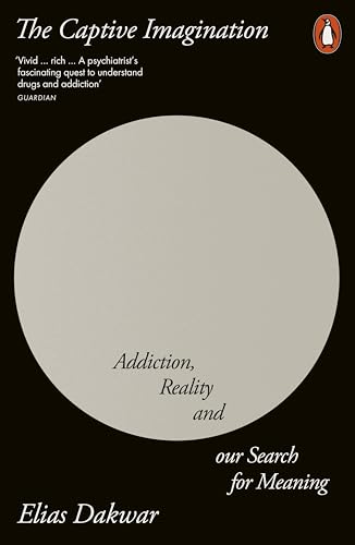 The Captive Imagination: Addiction, Reality and our Search for Meaning von Penguin Books Ltd (UK)