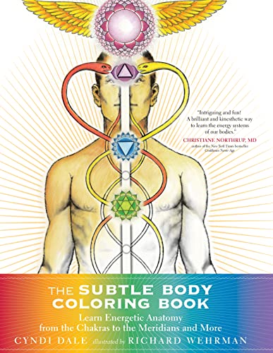 The Subtle Body Coloring Book: Learn Energetic Anatomy--From the Chakras to the Meridians and More