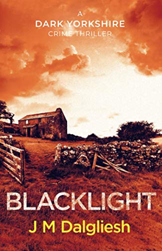 Blacklight (The Dark Yorkshire Crime Thrillers, Band 2)