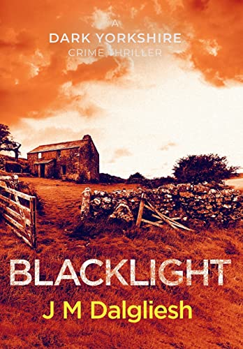Blacklight (Dark Yorkshire, Band 2) von Hamilton Press Limited