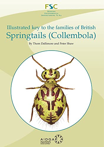 Illustrated Key to the Families of British Springtails (Collembola) (AIDGAP) von Field Studies Council