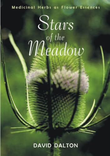 Stars of the Meadow: Medicinal Herbs as Flower Essences: Exploring Medicinal Herbs As Flower Essences