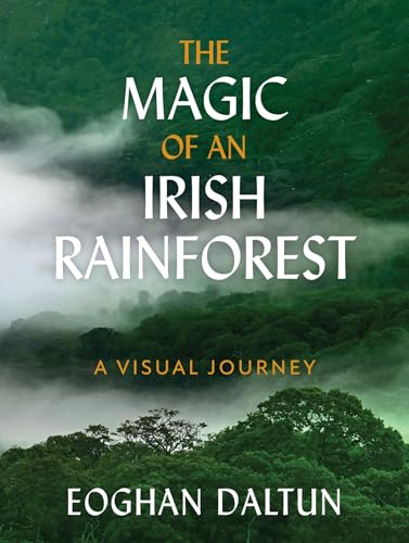 The Magic of an Irish Rainforest: A Visual Journey