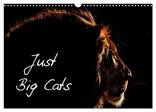 Just Big Cats (Wandkalender 2024 DIN A3 quer), CALVENDO Monatskalender