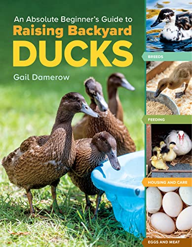 An Absolute Beginner's Guide to Raising Backyard Ducks: Breeds, Feeding, Housing and Care, Eggs and Meat An Absolute Beginner's Guide to Raising Backyard Ducks: Breeds, Feeding, Housing and Care, Eggs and Meat von Workman Publishing