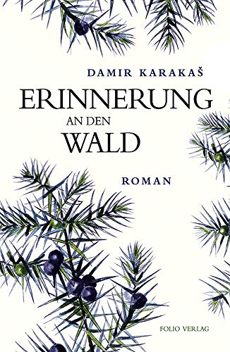 Erinnerung an den Wald (Transfer Bibliothek): Roman von Folio, Wien