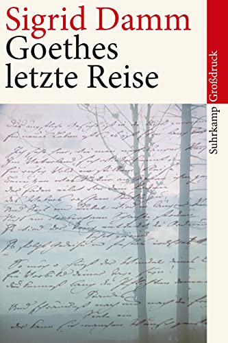 Goethes letzte Reise: Großdruck (suhrkamp taschenbuch)