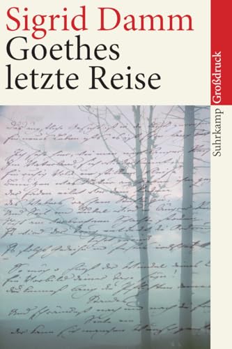Goethes letzte Reise: Großdruck (suhrkamp taschenbuch)