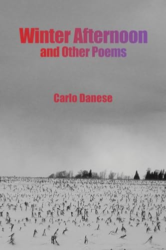 Winter Afternoon and Other Poems von Austin Macauley Publishers