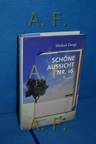 Schöne Aussicht Nr. 16: Roman