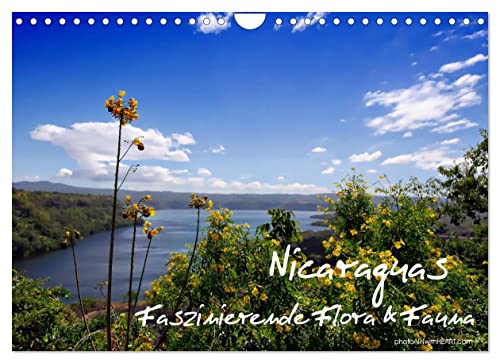 Nicaraguas faszinierende Flora & Fauna (Wandkalender 2023 DIN A4 quer): Traumschönes Wetter, herrliche weiße Sandstrände mit sauberem Wasser, alte ... (Monatskalender, 14 Seiten ) (CALVENDO Natur)