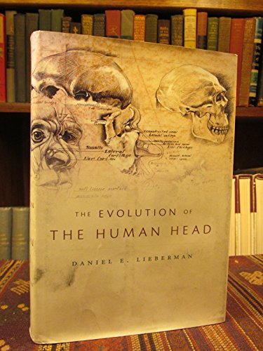 Evolution of the Human Head