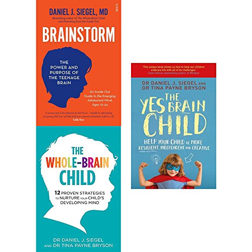 Brainstorm, whole brain child and yes brain child 3 books collection set