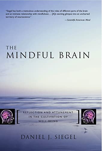 The Mindful Brain: Reflection and Attunement in the Cultivation of Well-Being (Norton Interpersonal Neurobiology, Band 0)
