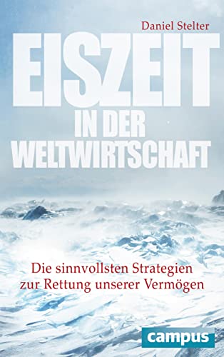 Eiszeit in der Weltwirtschaft: Die sinnvollsten Strategien zur Rettung unserer Vermögen von Campus Verlag