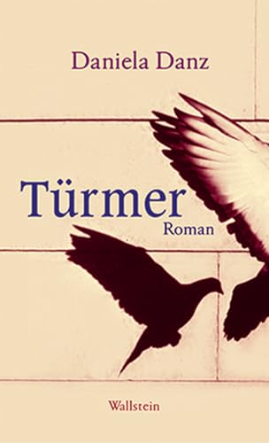 Türmer: Roman von Wallstein Verlag