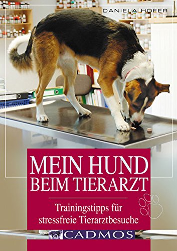Mein Hund beim Tierarzt: Trainingstipps für stressfreie Tierarztbesuche