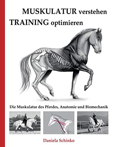 Muskulatur verstehen - Training optimieren: Die Muskulatur des Pferdes, Anatomie und Biomechanik von Books on Demand