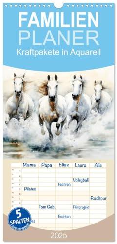 Familienplaner 2025 - Kraftpakete in Aquarell mit 5 Spalten (Wandkalender, 21 cm x 45 cm), CALVENDO