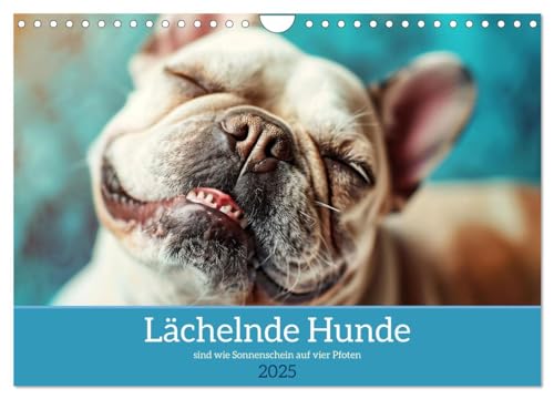 Lächelnde Hunde sind wie Sonnenschein auf vier Pfoten (Wandkalender 2025 DIN A4 quer), CALVENDO Monatskalender von CALVENDO