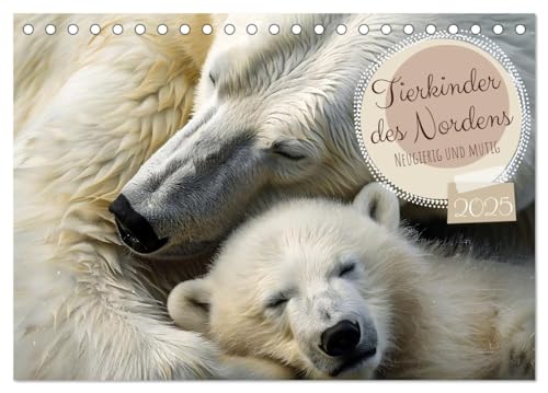 Tierkinder des Nordens (Tischkalender 2025 DIN A5 quer), CALVENDO Monatskalender von CALVENDO