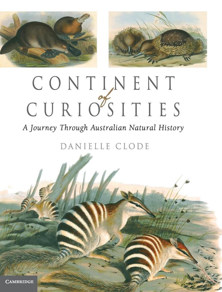 Continent of Curiosities von Cambridge University Press