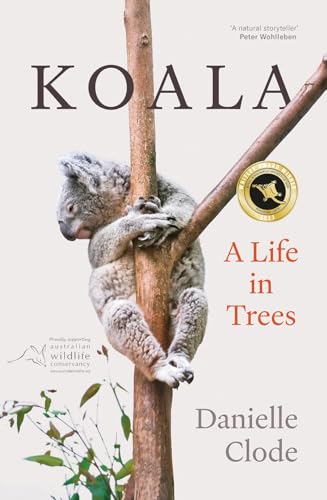 Koala Koala