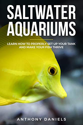 Saltwater Aquariums: Learn How to Properly Set Up Your Tank and Make Your Fish Thrive von Independently Published