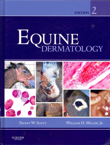 Equine Dermatology von Saunders