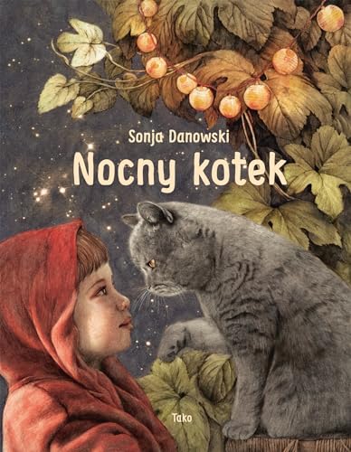 Nocny kotek Nocny kotek