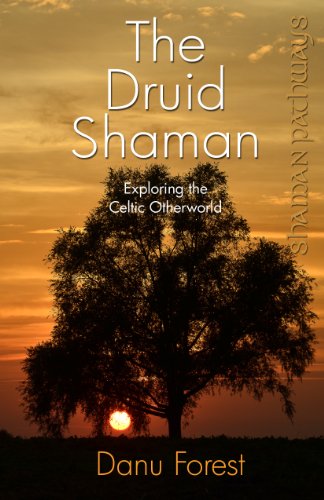 The Druid Shaman: Exploring the Celtic Otherworld (Shaman Pathways) von Moon Books